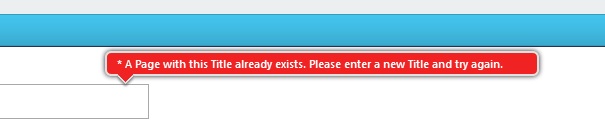 Pages Validator Pages Validator